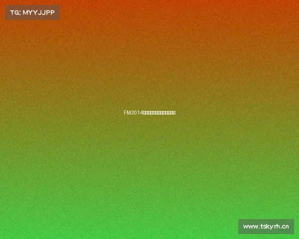 FM2014赛事全面汉化中文版震撼登场